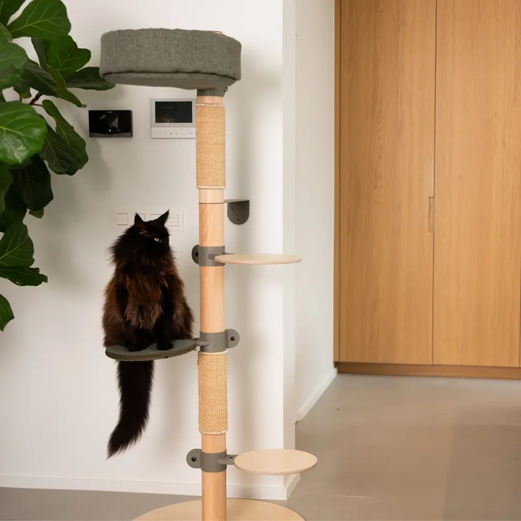 Cats Kattenboom N°1 Oranje
