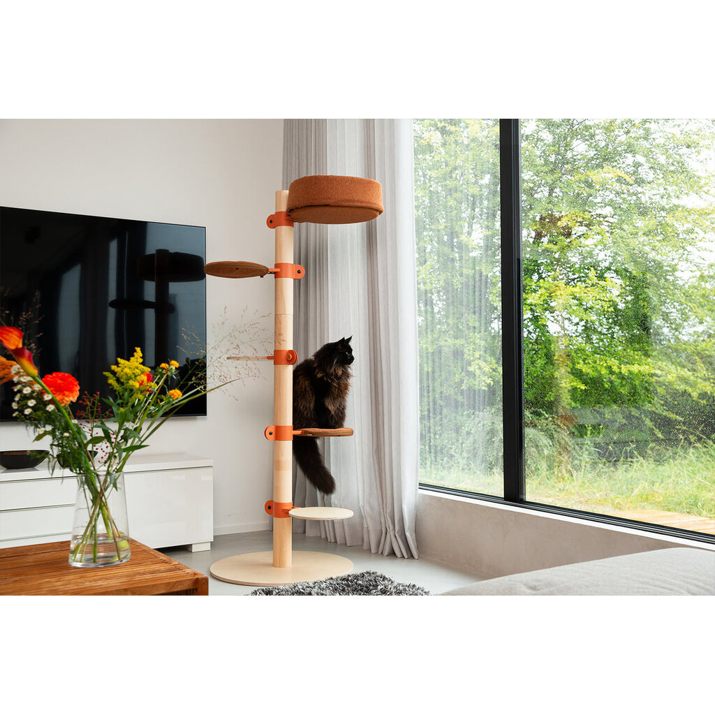 Cats Kattenboom N°1 Oranje