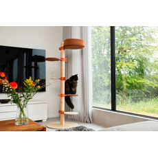 Cats Cat Tree N°1 Orange