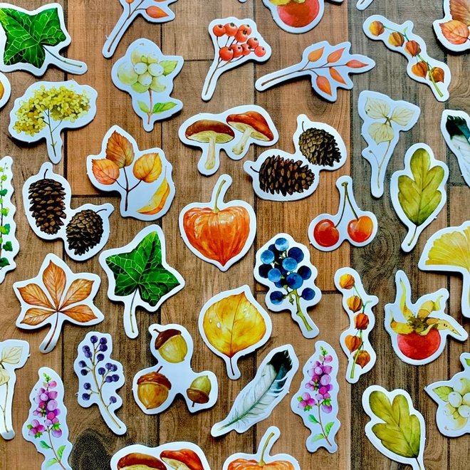 Stickers | Natuurlijke herfst
