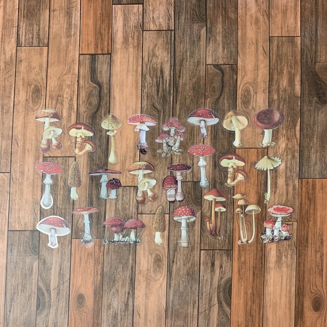 Sticker |  Mushroom forest
