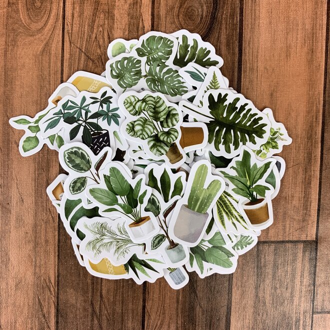 Stickers | Planten