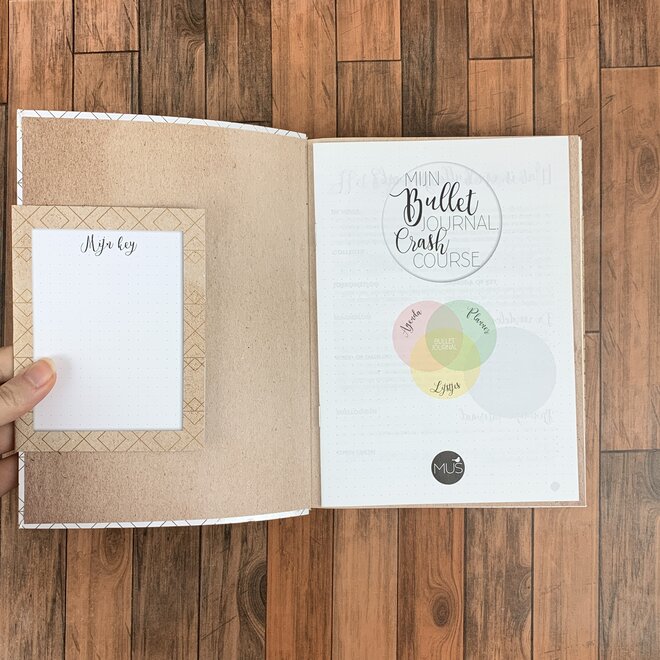 Mijn Bullet Journal | Wit goud