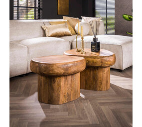 Salontafels set van 2 organisch mangohout Salontafels set van 2 organisch mangohout