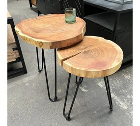 Boomstam salontafeltjes - set van 2 Boomstam salontafeltjes - set van 2