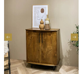 Livingfurn Kastje Elias retro mangohout 2 deurs