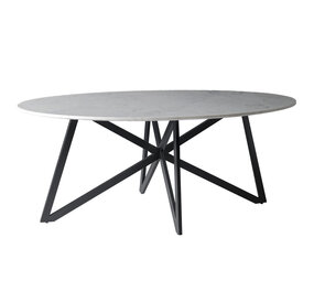 Livingfurn DT- Marble Oval Web White 200cm