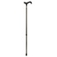 Carbon walking stick