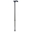 Carbon walking stick