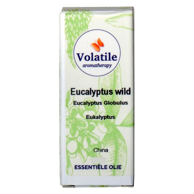 Essential oil Eucalyptus wild