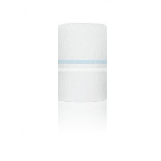 Klinion Kliniderm Film Roll pansement non stérile 10cm x 10m