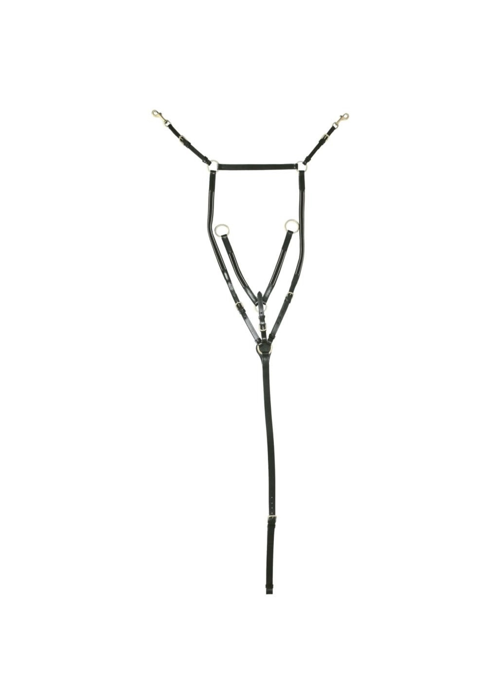 HKM HKM Borsttuig/ martingaal goudkleurig gespwerk