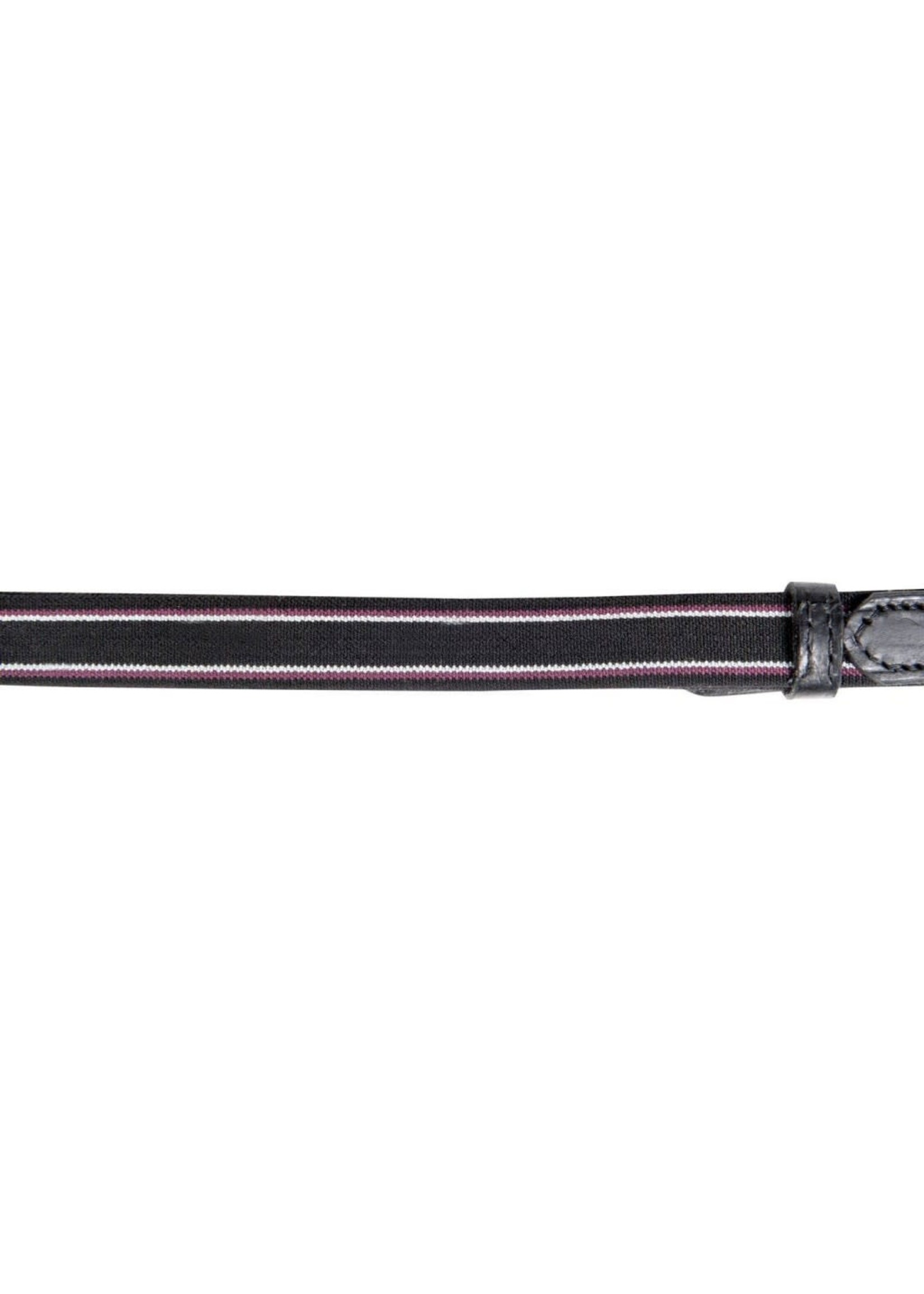 HKM HKM Borsttuig/ martingaal goudkleurig gespwerk