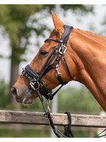 QHP Halster dubbel verstelbaar QHP