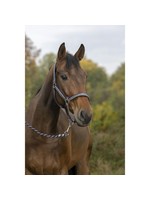 Norton Halsters Brillant