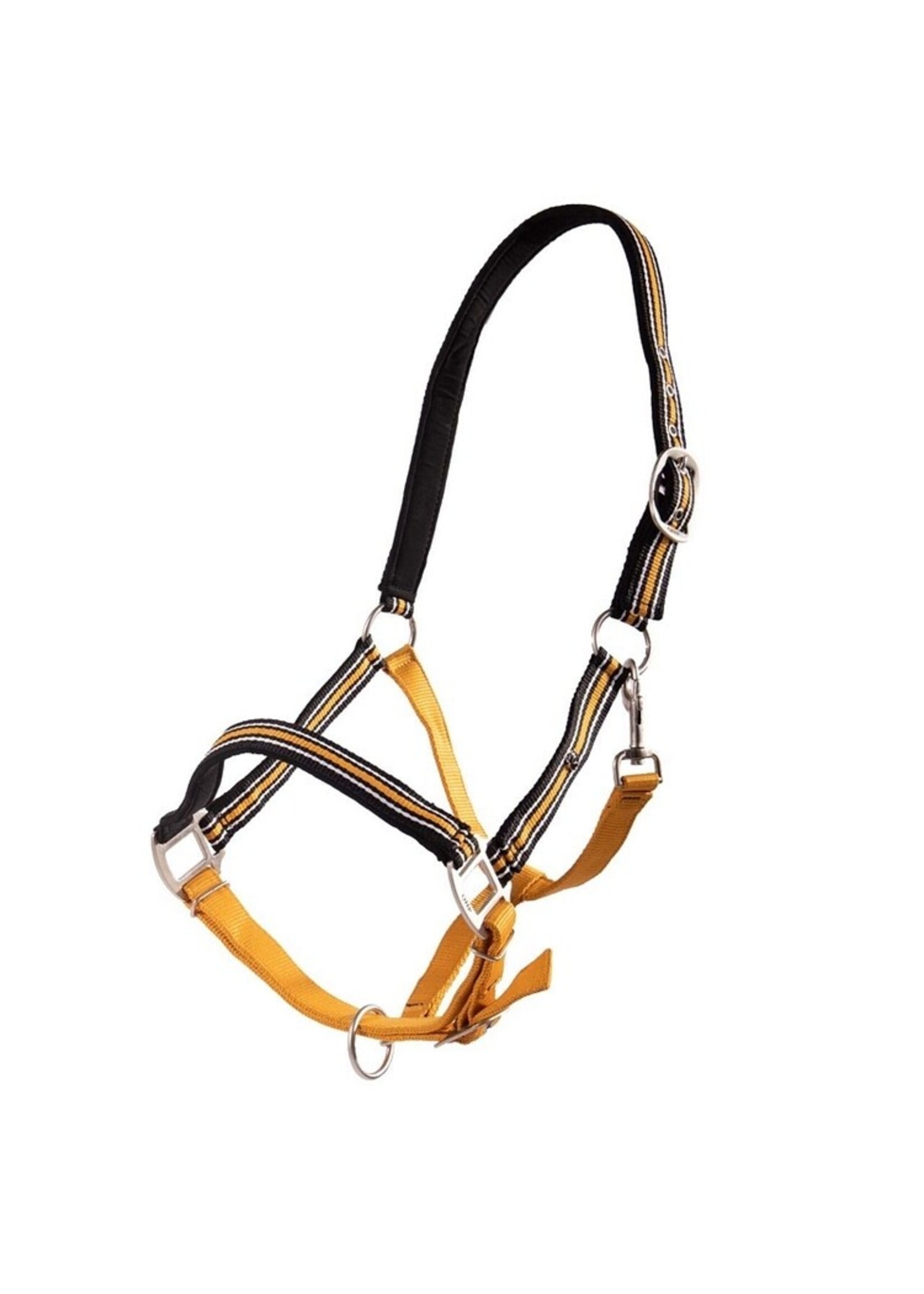 QHP Halster Summer Glow