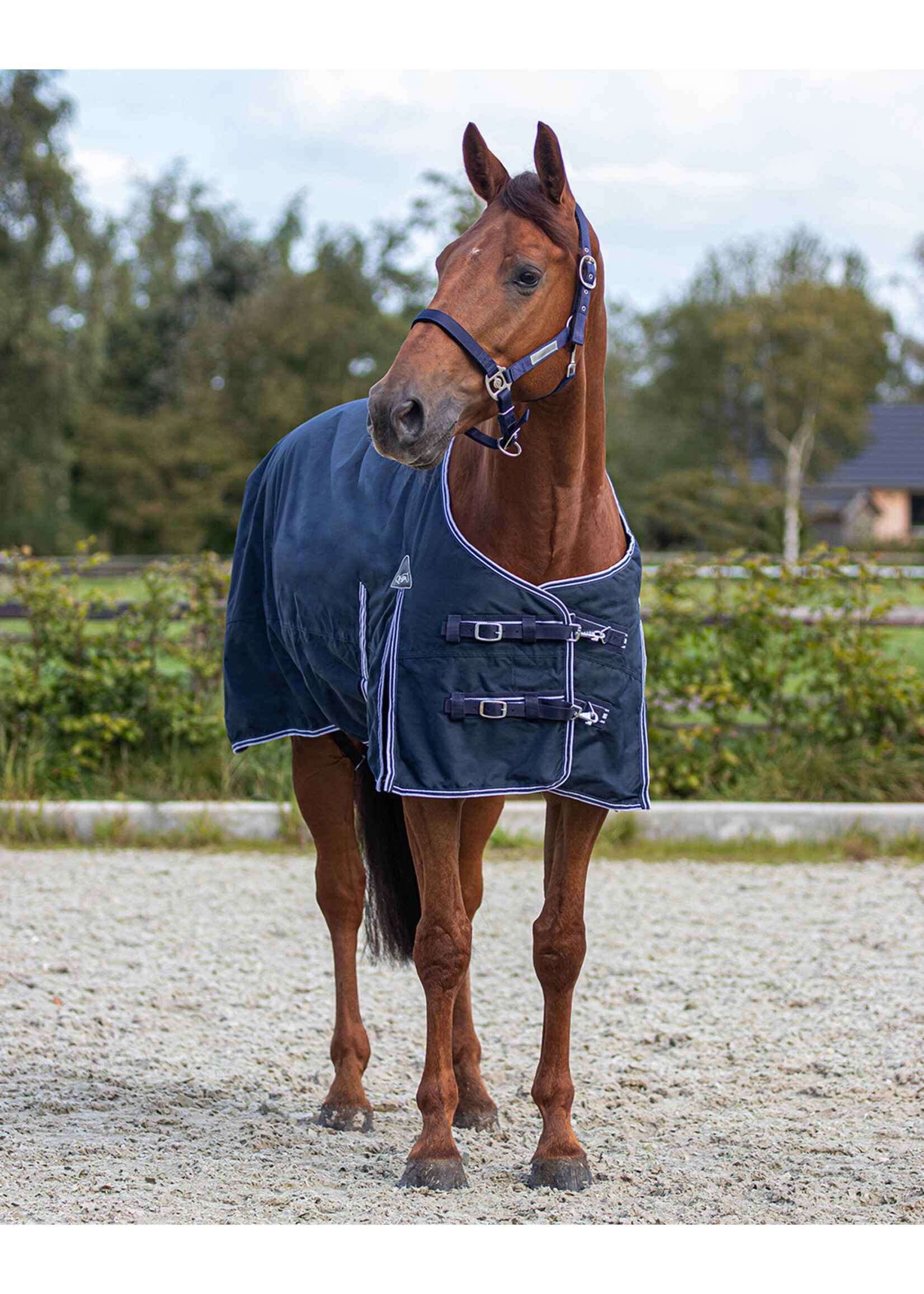 QHP Regendeken Turnout Luxe 300gr