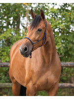 QHP Touw halster basic 1111