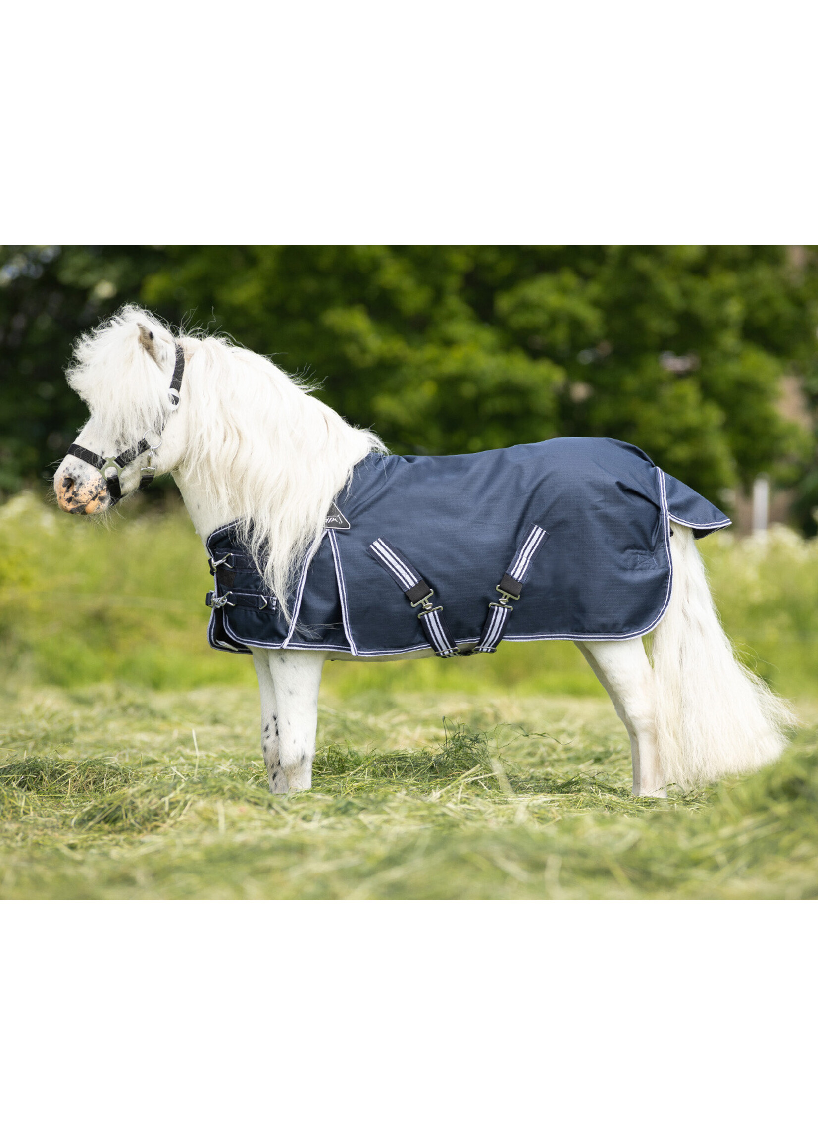 QHP QHP Falabella 0 gram