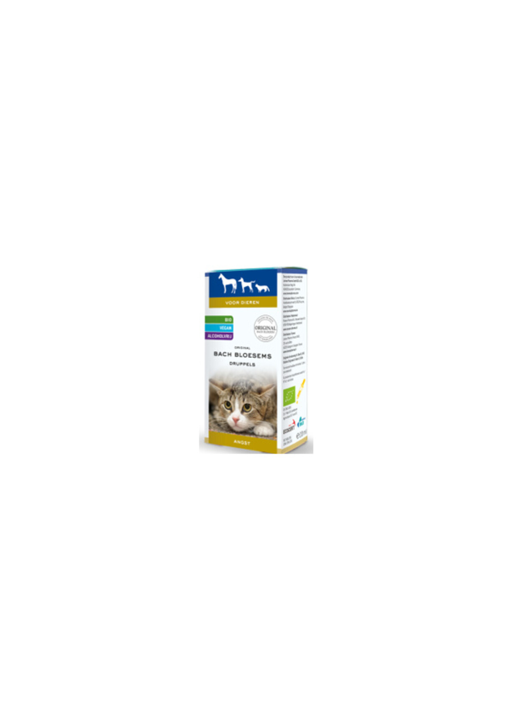 Frama Bachbloesem Angst 20ml