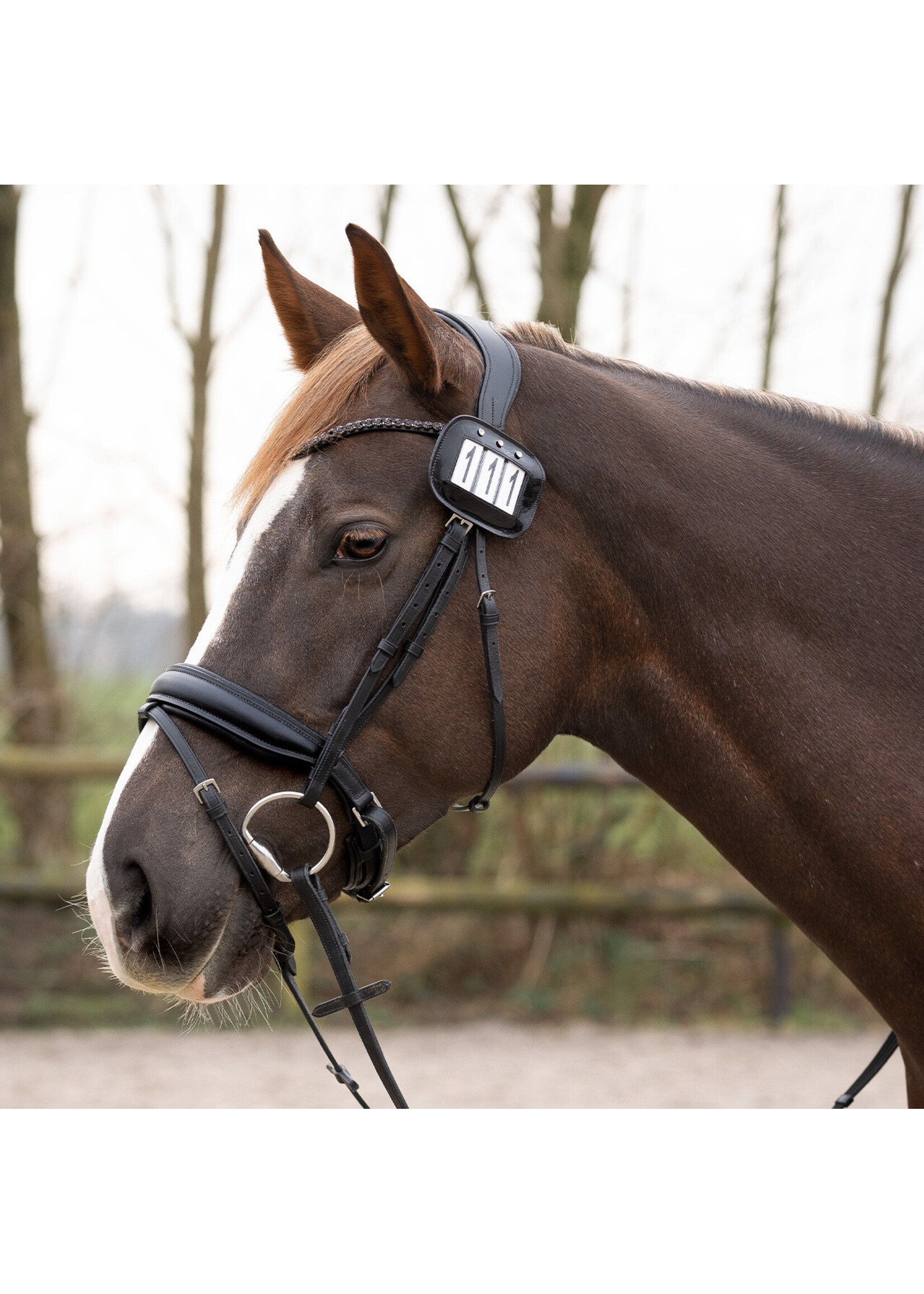 QHP Qhp Nummerhouder lak strass 2st