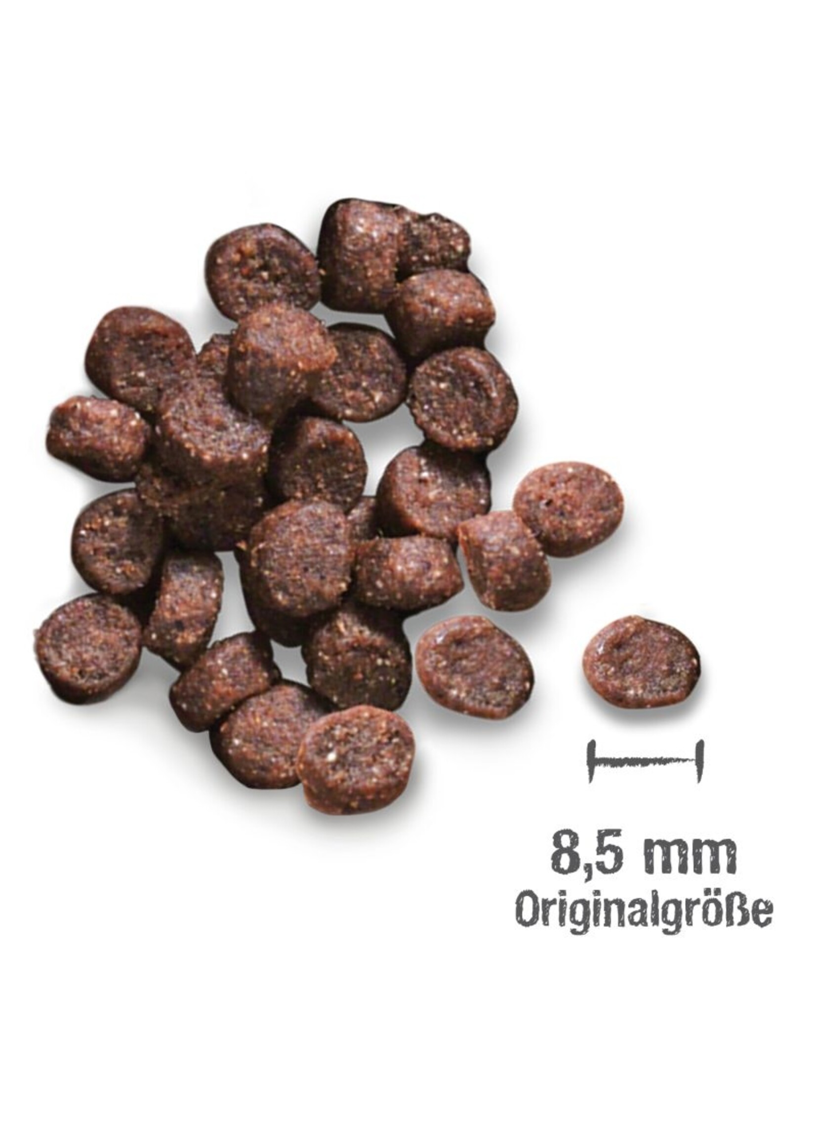 Leonardo Adult Salmon GF  300 gr