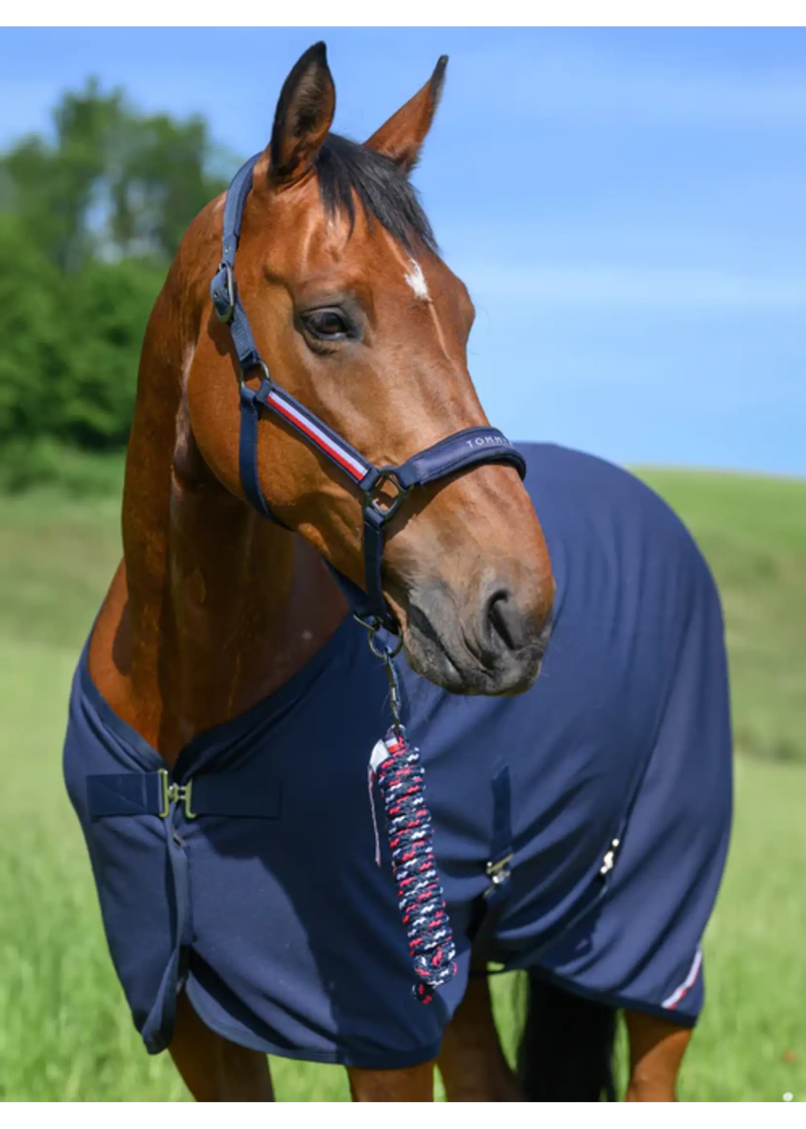 TOMMY HILFIGER Tommy Hilfiger Halsterset Yale