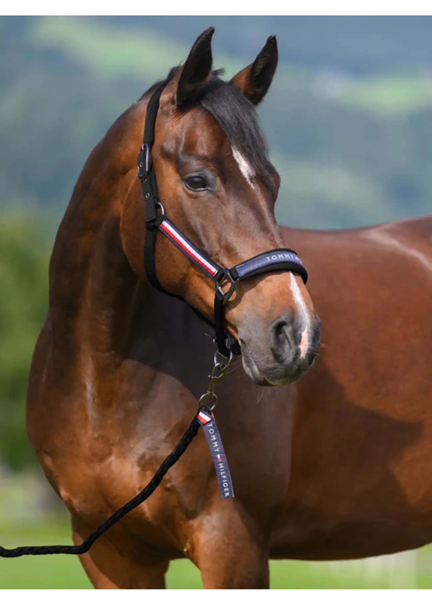 TOMMY HILFIGER Tommy Hilfiger Halsterset Yale