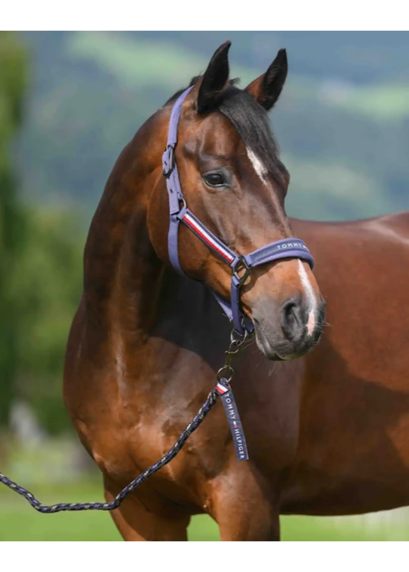 TOMMY HILFIGER Tommy Hilfiger Halsterset Yale