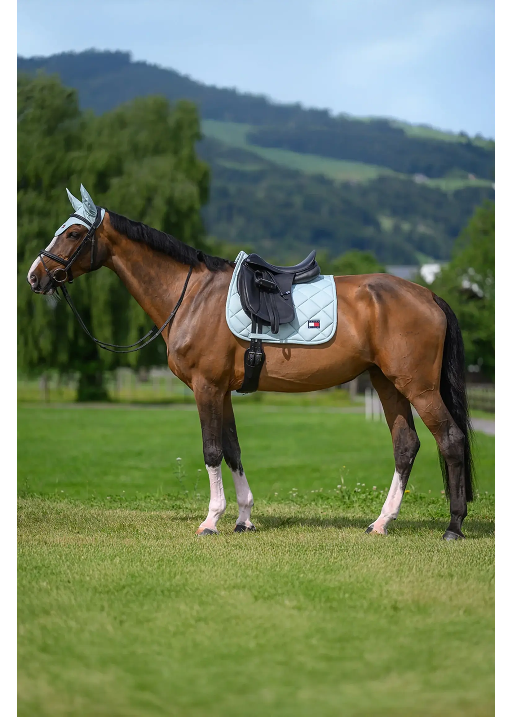 TOMMY HILFIGER TOMMY HILFIGER Columbia Dressuurzadeldek