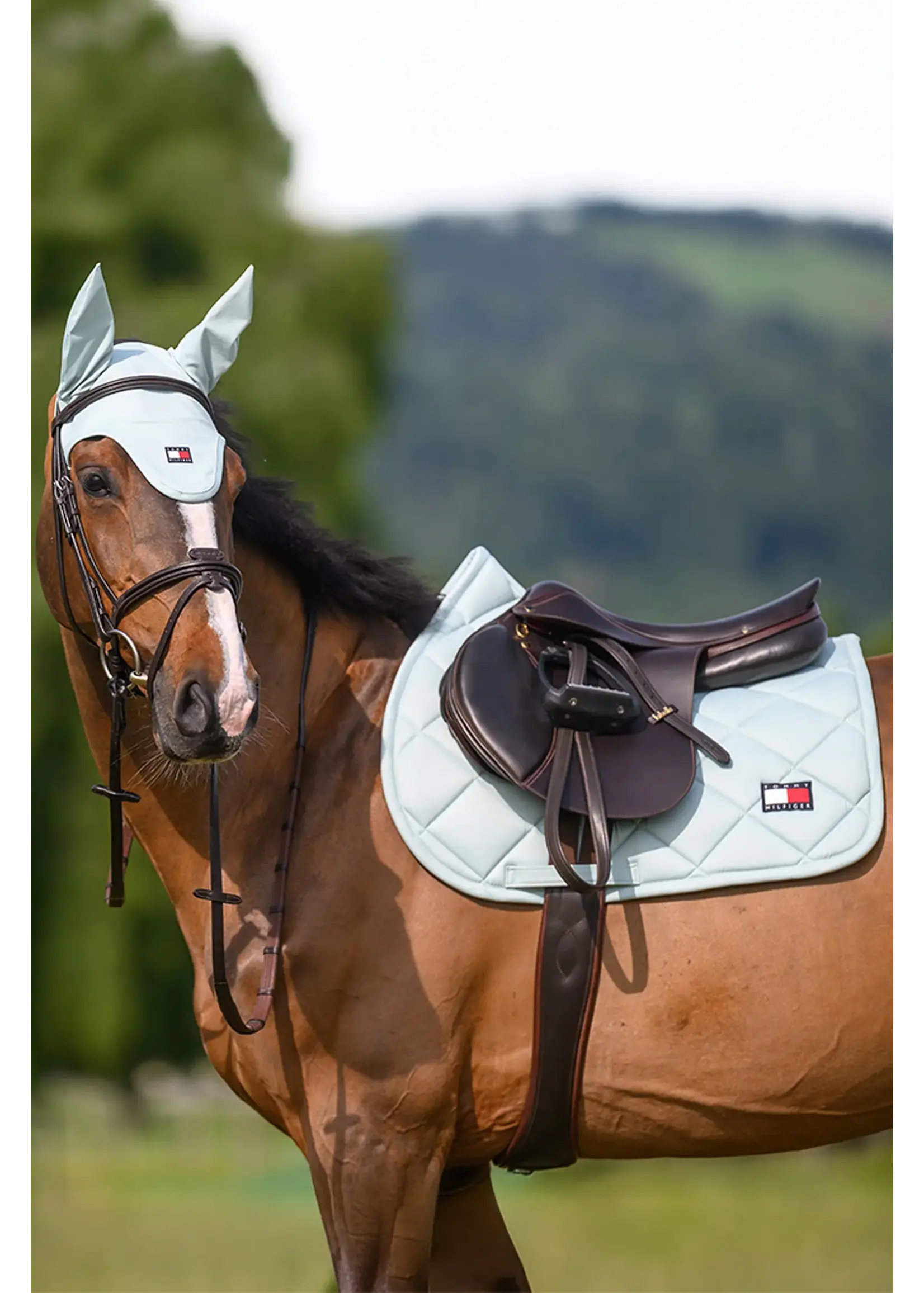 TOMMY HILFIGER TOMMY HILFIGER Columbia Jumping Saddle Pad