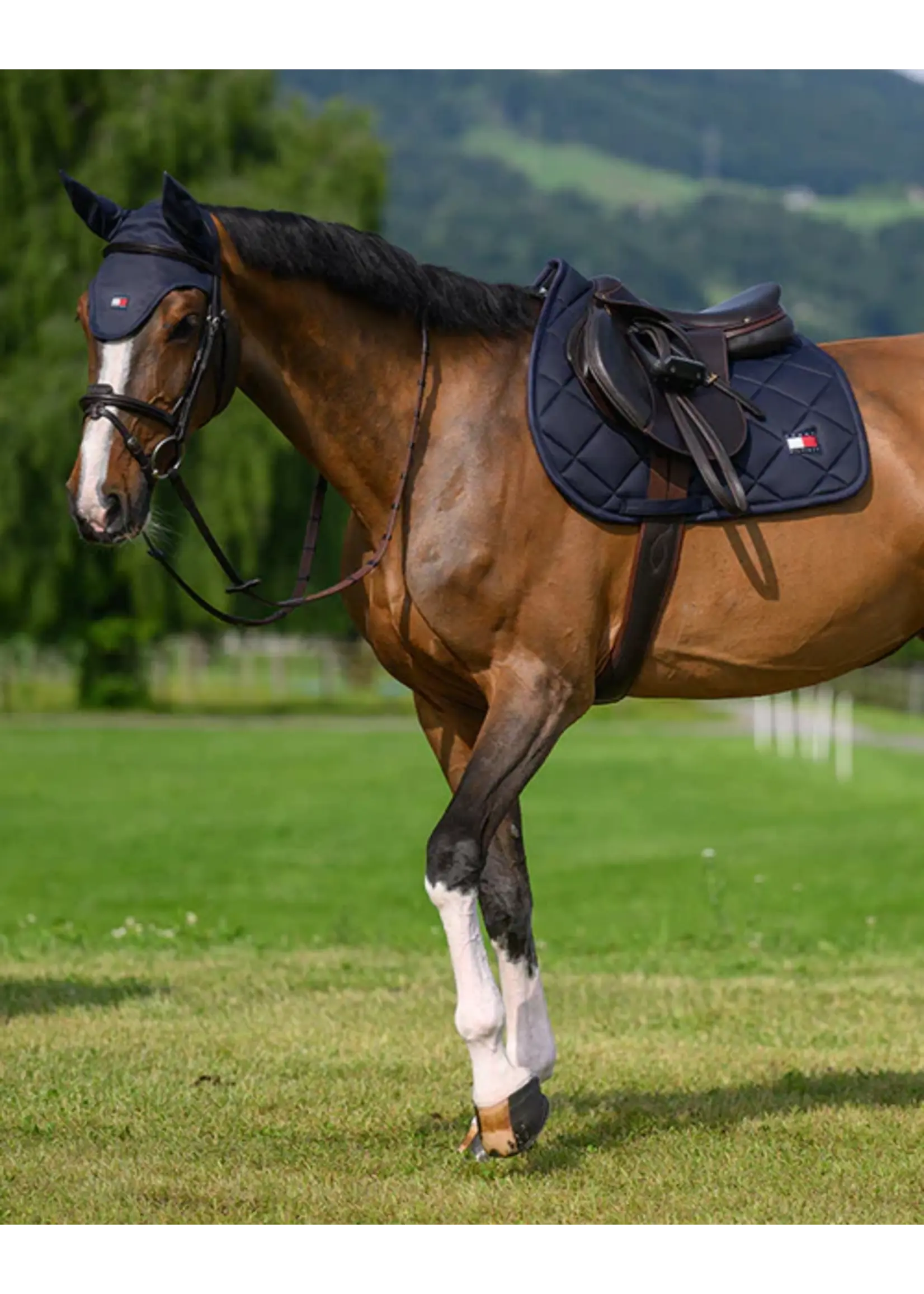 TOMMY HILFIGER TOMMY HILFIGER Columbia Jumping Saddle Pad