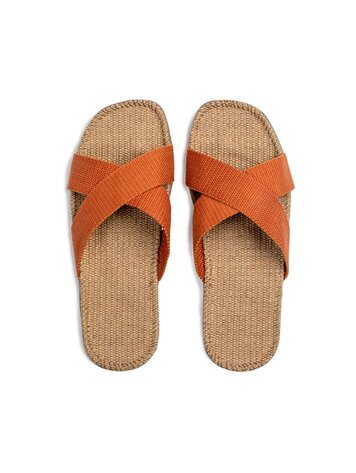 Shangies Unisex - Spicy pumpkin