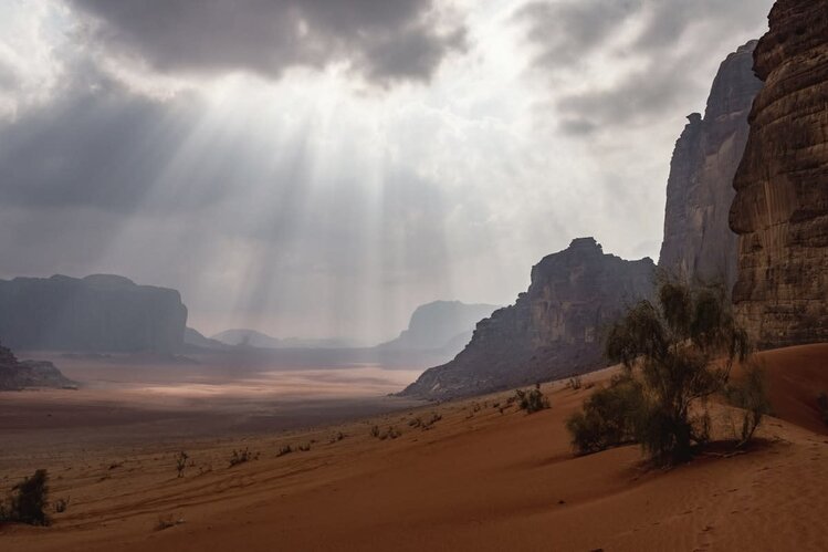 Gestalten Voyages - Sidetracked Beyond