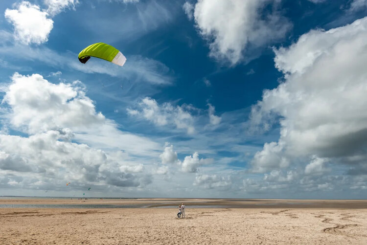PLKB - Peter Lynn Hornet 4-line Power Kite  - Fluor Green - 3M Bar