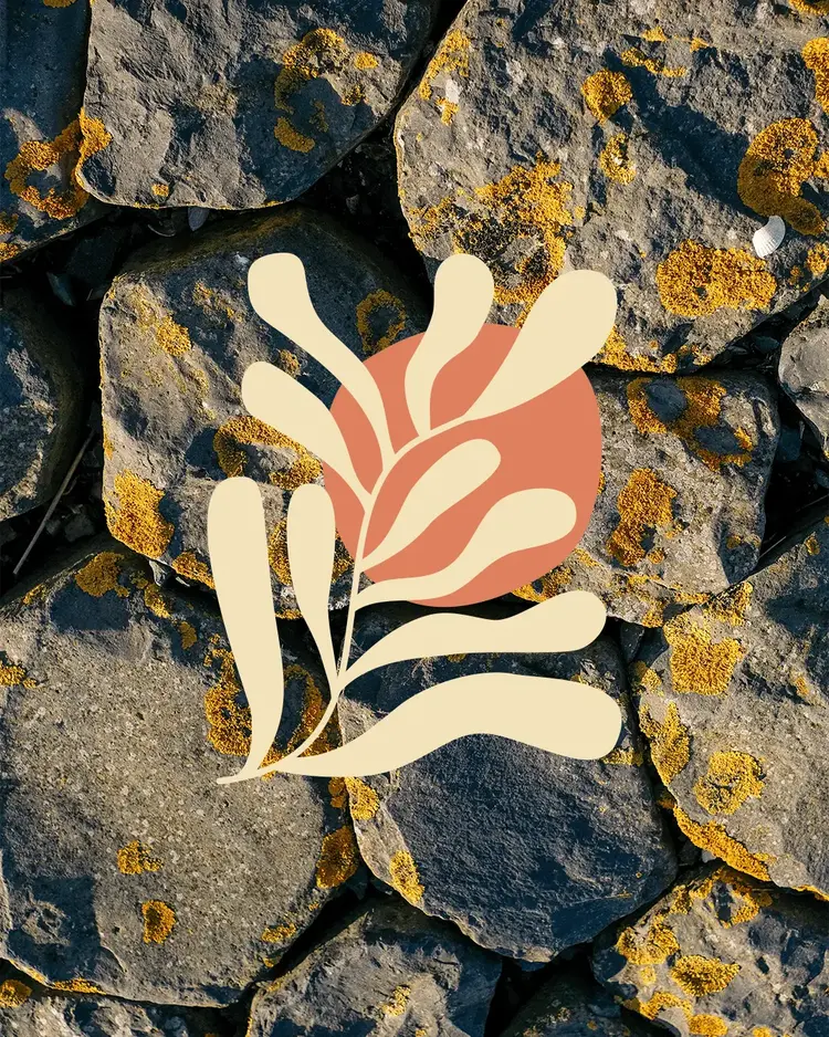 Surfvillage Biome Tee - Sunset Black