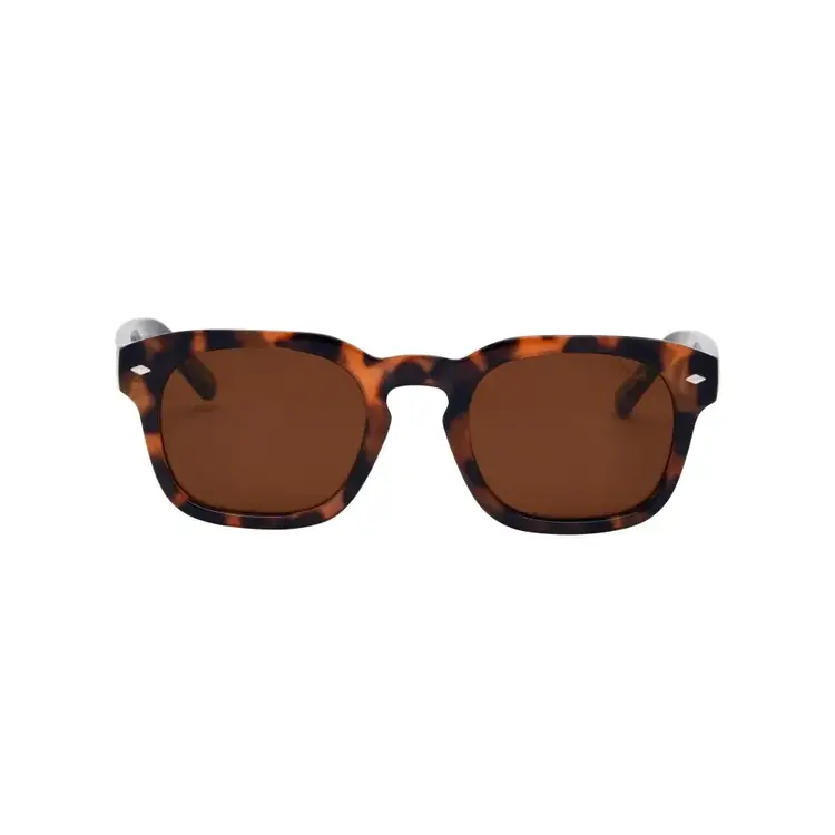 I-Sea Blair 2.0 - Tort/Brown  Polarized