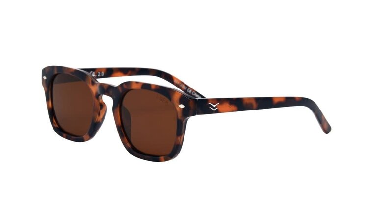 I-Sea Blair 2.0 - Tort/Brown  Polarized