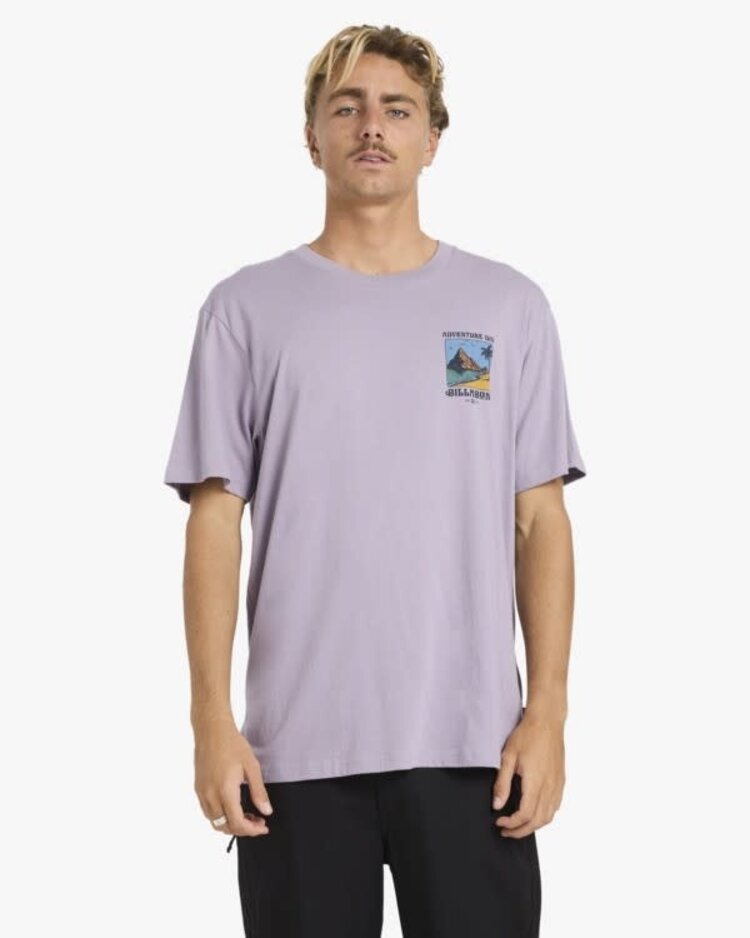 Billabong Post Cards Tee Purple Ash
