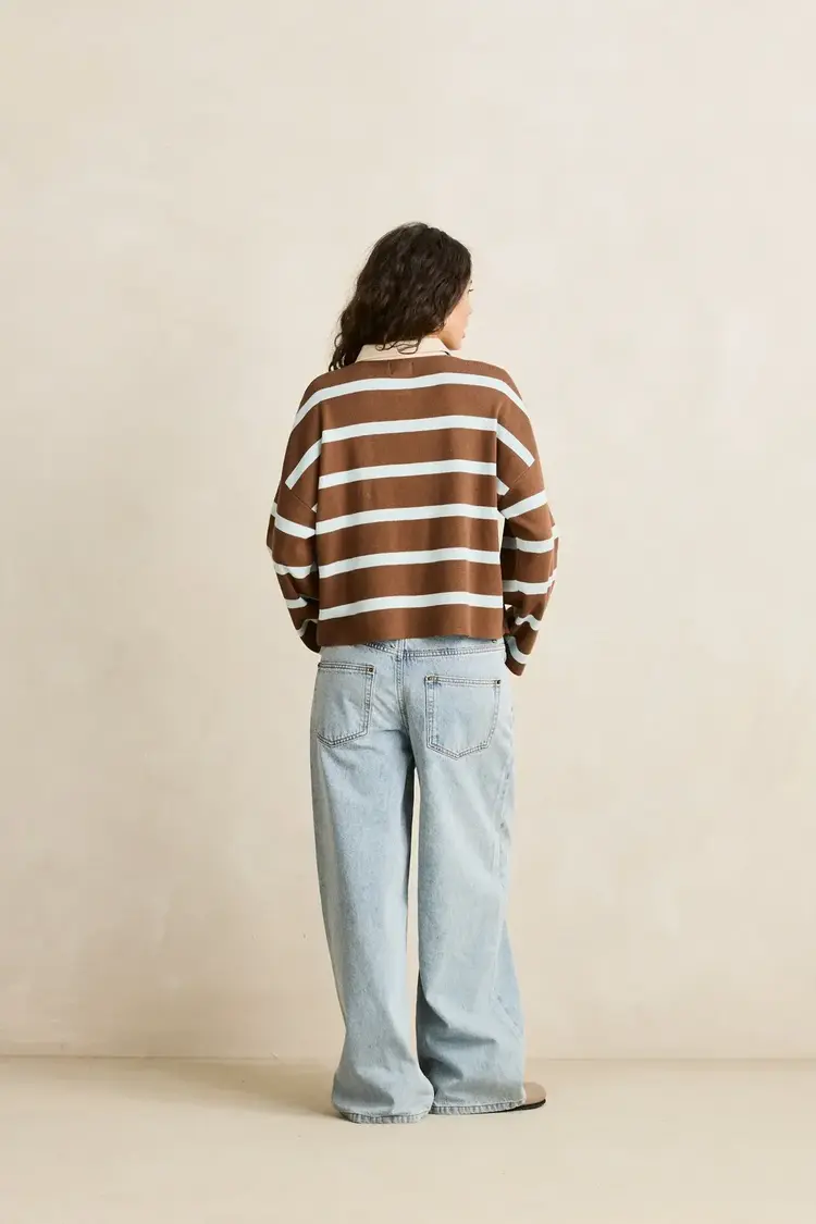 Rugby Polo Knit Sweater Brown