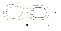 Allpa RVS snaphaak wartelend  Ø19mm  L=94mm