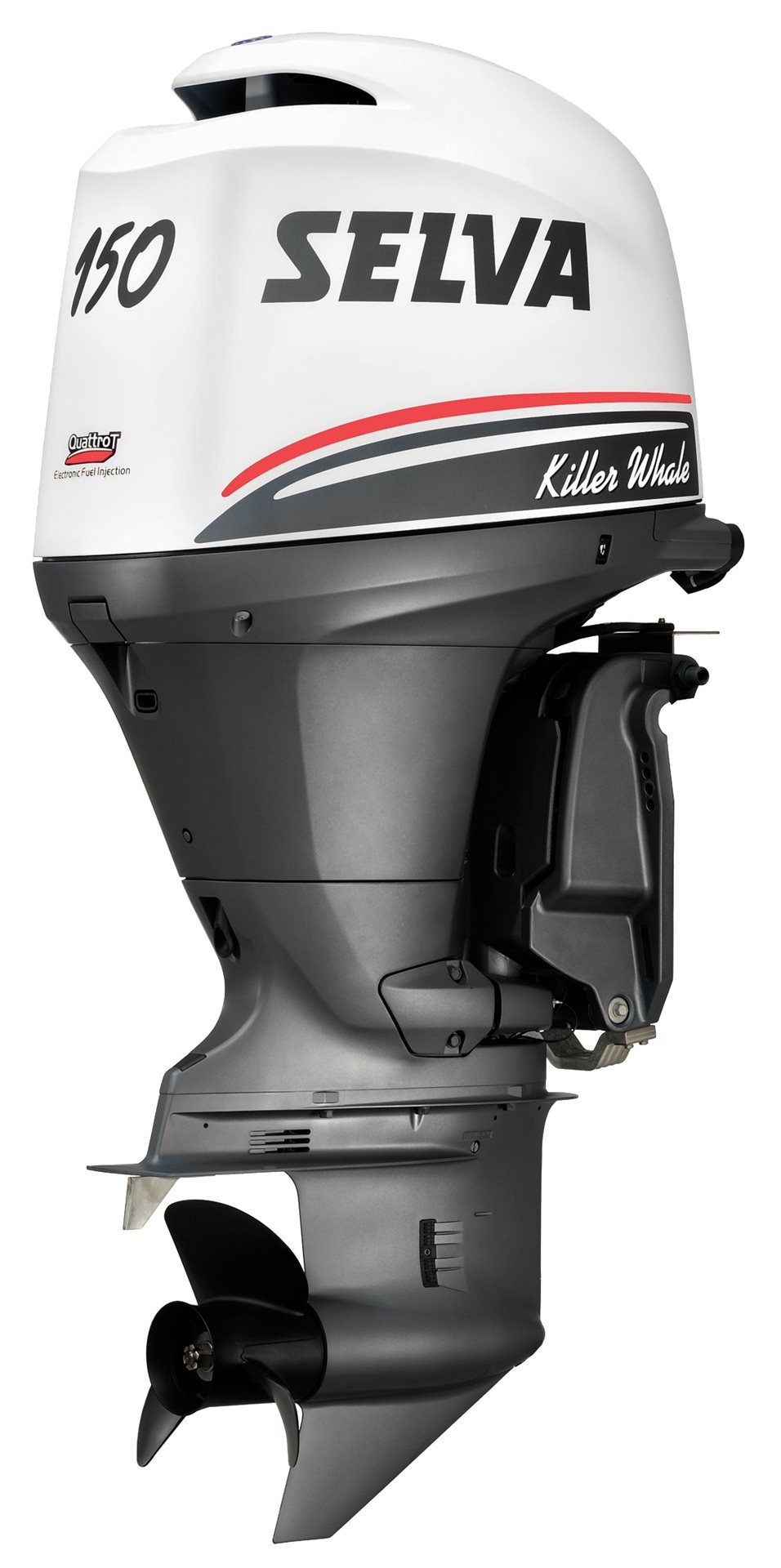 Selva Buitenboordmotoren Killer Whale 150EFI-16V  E.ST.L.PT.  150pk