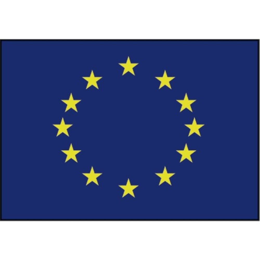 Controverse chrysant nood Talamex Raad van Europa vlag (blauw met gele sterren) - Boottotaal.nl