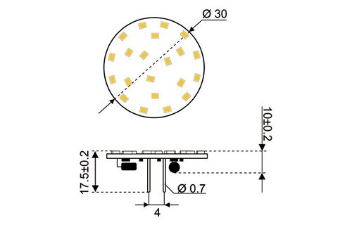 LED vervangingslamp  21xSMD - G4 achter