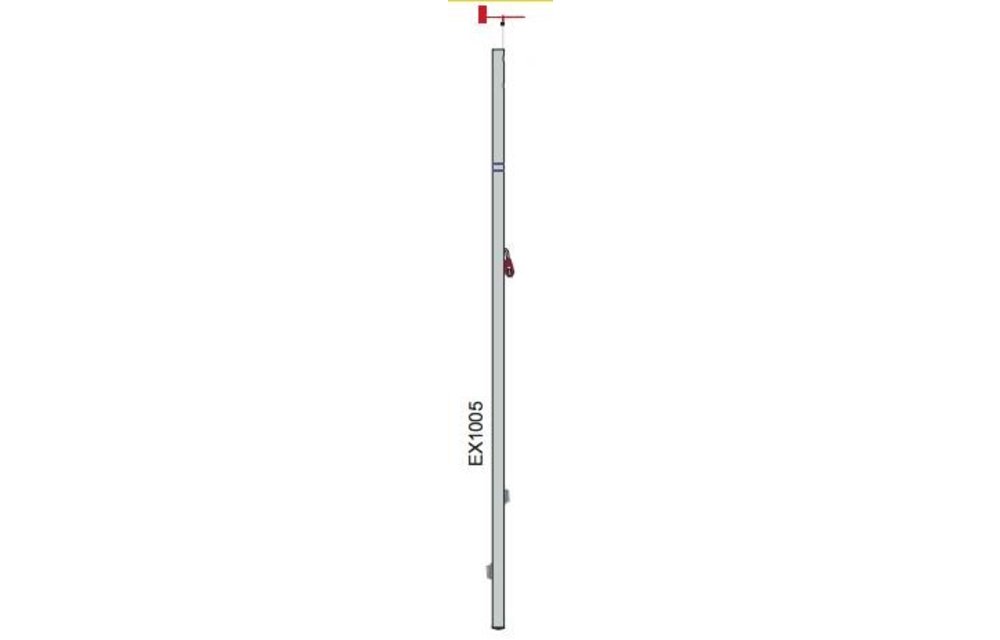 Silver mast