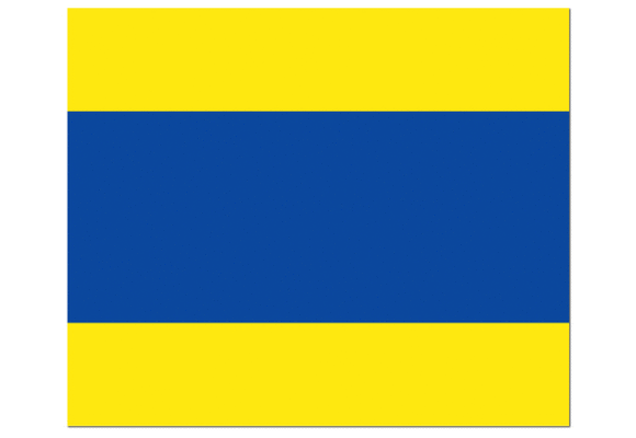 Seinvlag D