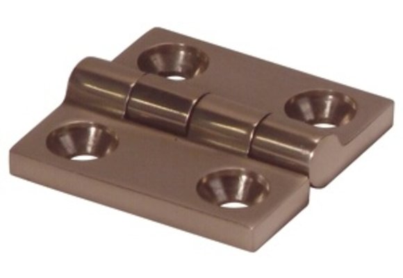 RVS 316 scharnier 48X48