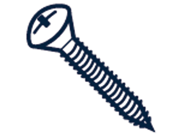 RVS plaatschroef lens