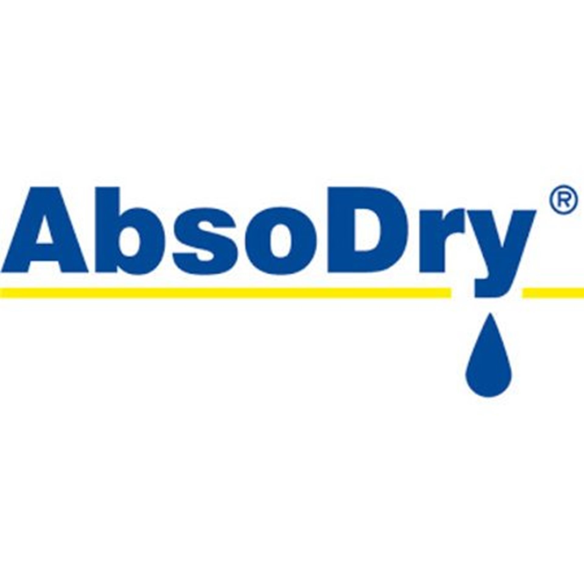 Logo Absodry