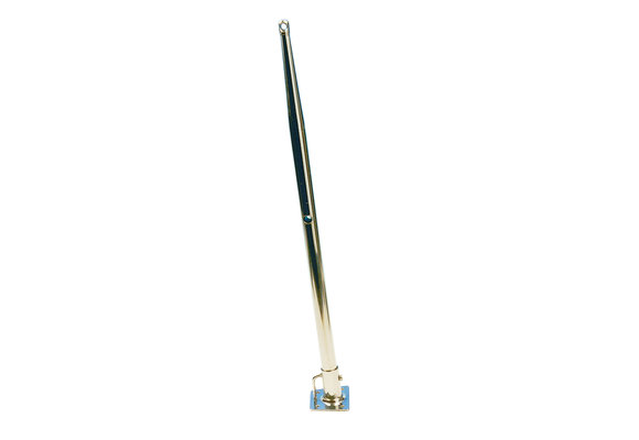 Allpa RVS scepter Ø25mm  H=750mm  3-gats (250/500/750mm)